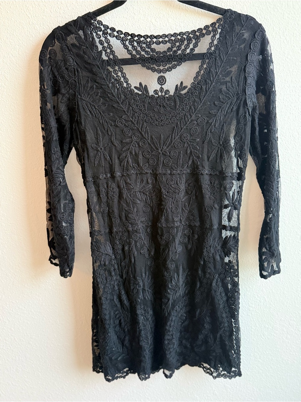 Embroidered Black Lace Sheer Mini Dress  Whimsigoth Boho Romantic